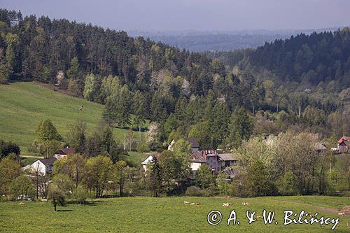 Dolina żłobka, Bieszczady