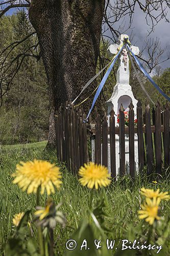 Krzyż przydrożny, żłobek, Bieszczady