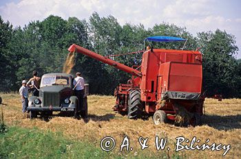 Poland harvest kombajn żniwa pole