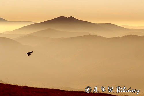 Widok z Wielkiej Rawki, Bieszczady