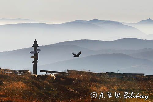 Widok z Wielkiej Rawki, Bieszczady