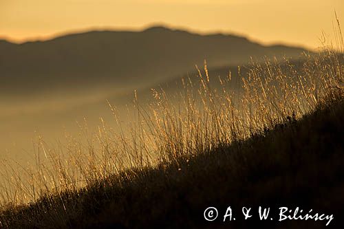 Na Małej Rawce, Bieszczady