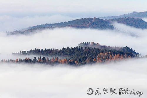 Mgły nad Żukowem, widok z Jaworników, Bieszczady