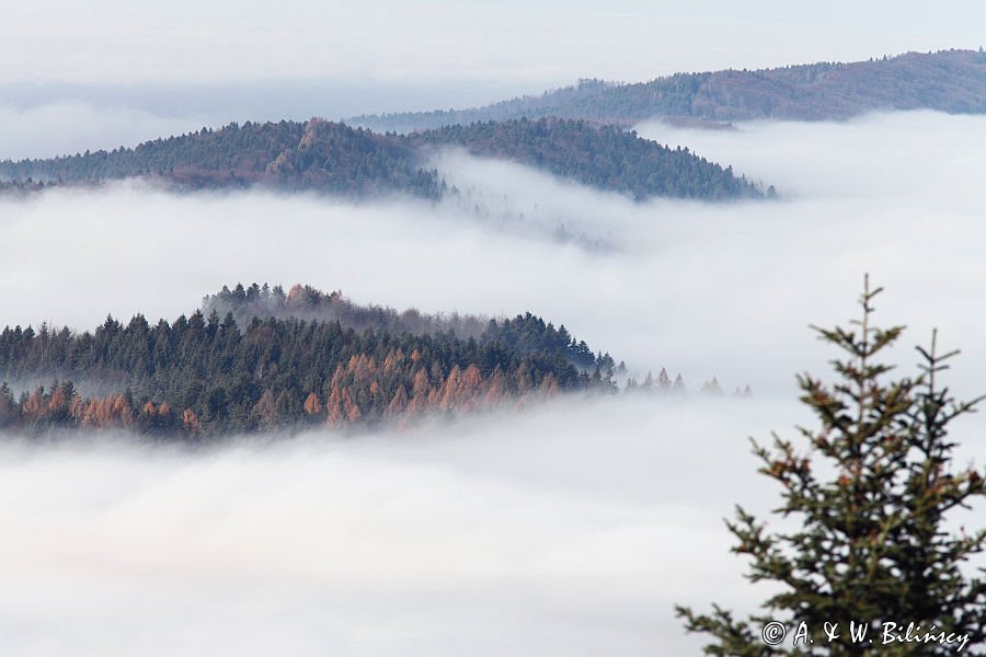 Mgły nad Żukowem, widok z Jaworników, Bieszczady