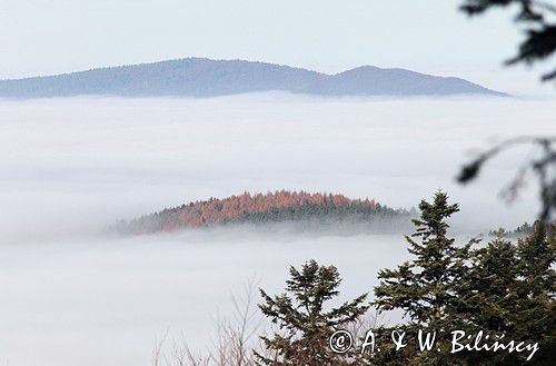 mgły nad żukowem, widok z Jaworników, Bieszczady