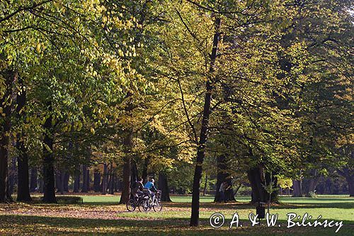 żywiec, park przy zamku
