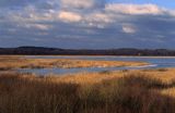 rezerwat jezioro Łuknajno Mazury