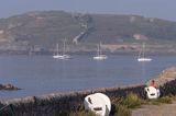 zatoka Braye na wyspie Alderney, Channel Islands, Anglia, Wyspy Normandzkie, Kanał La Manche