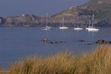 zatoka Braye na wyspie Alderney, Channel Islands, Anglia, Wyspy Normandzkie, Kanał La Manche