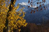 Pointe de Sale, Tete A'L'ane Alpy Francuskie, Rhone Alps, Górna Sabaudia, La Haute Savoie