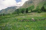 Park Narodowy Gran Paradiso