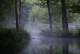 Rzeka Babant, Mazury