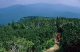 Babia Góra beskid żywiecki