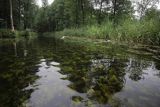 Rzeka Babięcka Struga, Mazury