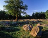 głazowisko Bachanowo - Suwalski Park Krajobrazowy