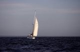 jacht s/y Bagheera