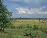 Biebrzański Park Narodowy