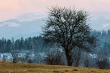Widok z Chmiela, Bieszczady