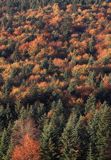 Beskid Niski, Jesień w Beskidzie Niskim, Czerteż