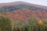 Beskid Makowski