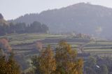 Beskid Makowski. pola, lasy, góry, droga