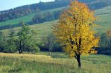 Beskid Niski