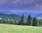 Beskid Niski Widok z Góry Piorun