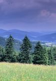 Beskid Niski Widok z Góry Piorun