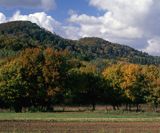 Beskid Niski, Jesień w Beskidzie Niskim