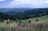 Beskid Sądecki na Obidzy