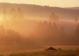 Beskid Sądecki o świcie