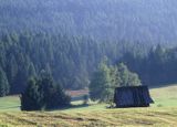 Beskid Sądecki szałas pasterski