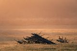 Beskid Sądecki świt