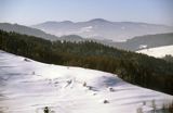 Beskid Sądecki zima widok znad Wierchomli Małej