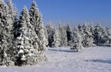 Beskid Sądecki, zima