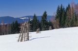 okolice Istebnej, Beskid Śląski