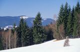 okolice Istebnej, Beskid Śląski