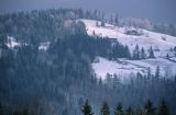 okolice Szczyrku, Beskid Śląski