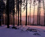 Malinów Beskid Śląski