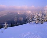 widok ze szczytu Malinów Beskid Śląski