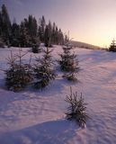 Malinów, Beskid Śląski