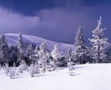 Beskid Śląski, Skrzyczne