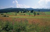 Beskid Zywiecki łąka górska