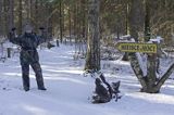 Miejsce Mocy, Puszcza Białowieska