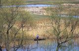 Łódka na Biebrzy, Podlasie, Polska