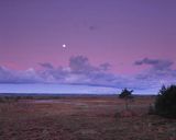 Bielawskie Błoto nocą, rezerwat przyrody