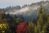 Widok na pasmo żuków z Doliny żłobka, Bieszczady