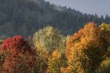 Jesień, Bieszczady