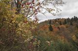 Jesień, Bieszczady