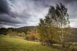 Jesień, Bieszczady, Hulskie, Park Krajobrazowy Doliny Sanu